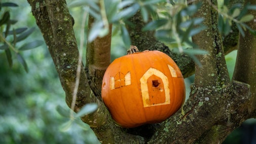Small pumpkin carved into a fairy house